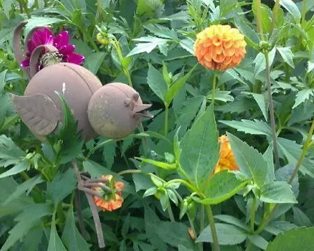 Am Baby & Kinderbauerhof Stefflhof