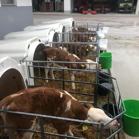 Am Baby & Kinderbauerhof Stefflhof Saalfelden