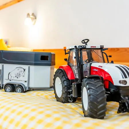 Am Baby & Kinderbauerhof Stefflhof * Saalfelden