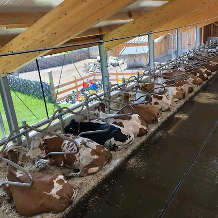 Κατάλυμα σε φάρμα Am Baby & Kinderbauerhof Stefflhof