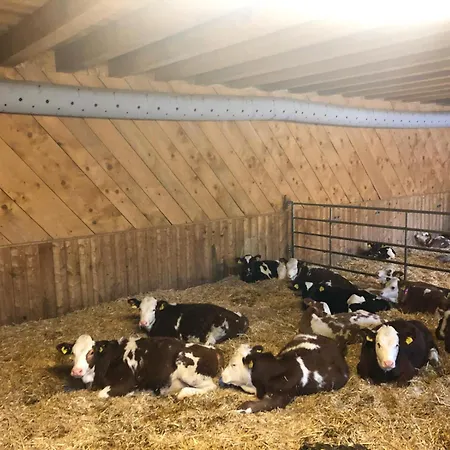 Am Baby & Kinderbauerhof Stefflhof *