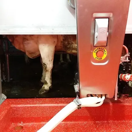 Κατάλυμα σε φάρμα Am Baby & Kinderbauerhof Stefflhof Saalfelden