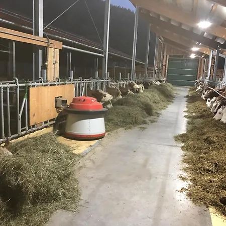 Am Baby & Kinderbauerhof Stefflhof Saalfelden