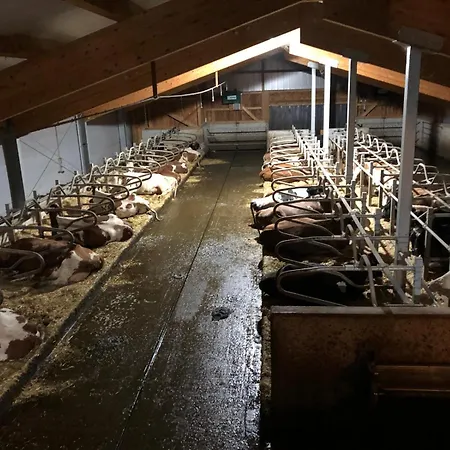 Am Baby & Kinderbauerhof Stefflhof Κατάλυμα σε φάρμα