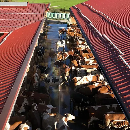 Κατάλυμα σε φάρμα Am Baby & Kinderbauerhof Stefflhof