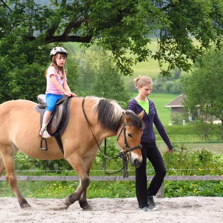 Am Baby & Kinderbauerhof Stefflhof * Saalfelden