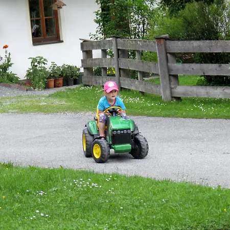 Am Baby & Kinderbauerhof Stefflhof Κατάλυμα σε φάρμα Saalfelden