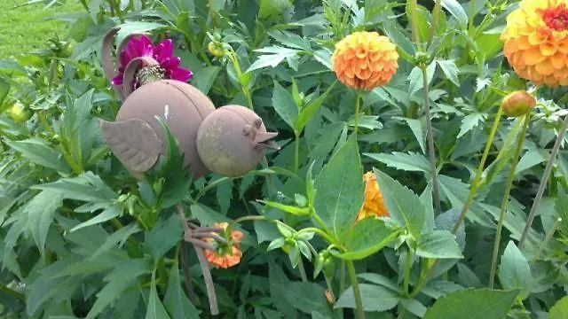 Am Baby & Kinderbauerhof Stefflhof