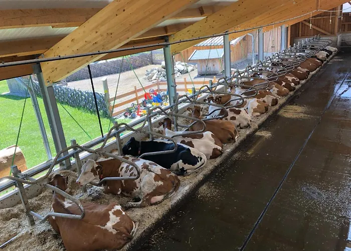 Séjour à la ferme Am Baby & Kinderbauerhof Stefflhof