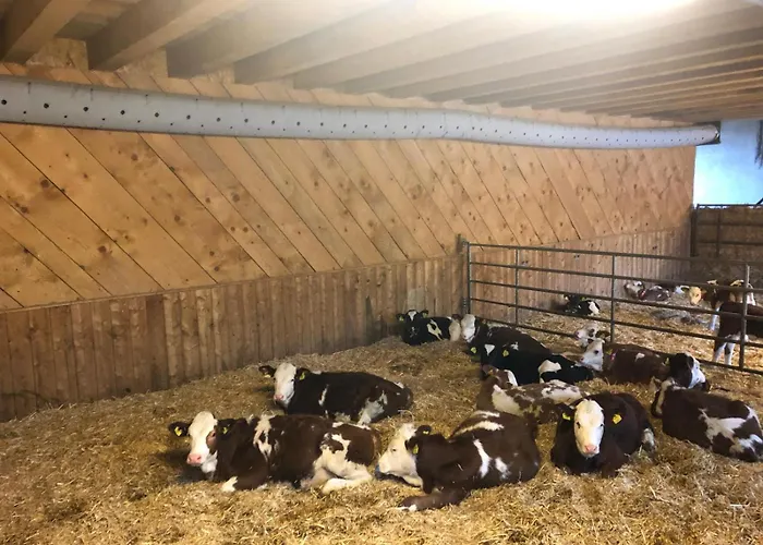 Am Baby & Kinderbauerhof Stefflhof *