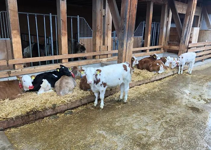 Am Baby & Kinderbauerhof Stefflhof * 살펠덴암스타이너르넨미어