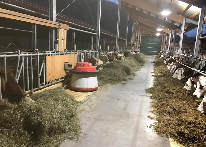 Am Baby & Kinderbauerhof Stefflhof 살펠덴암스타이너르넨미어