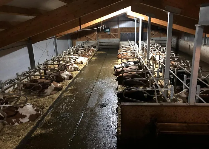 Am Baby & Kinderbauerhof Stefflhof Séjour à la ferme