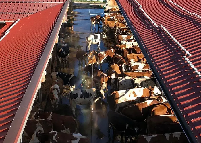 Séjour à la ferme Am Baby & Kinderbauerhof Stefflhof