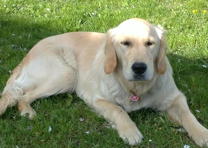 Am Baby & Kinderbauerhof Stefflhof